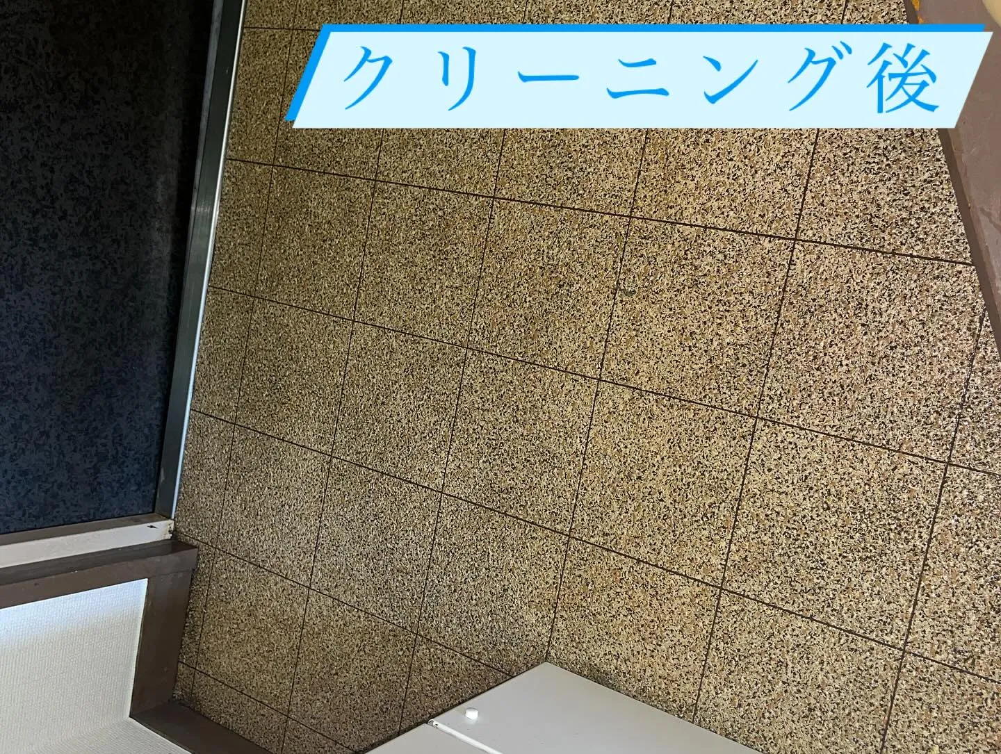本日は、訳あり物件のクリーニングにお伺いしてきました🏠✨。